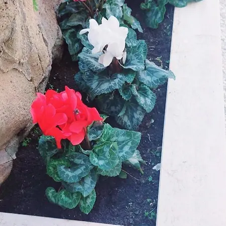 Handy&rivieni2 Lägenhet Rom